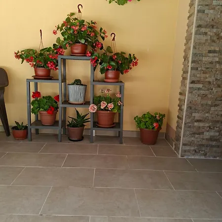 Milica * Dojran